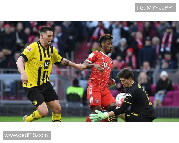 拜仁与多特精彩对决直播现场全程回顾与分析
